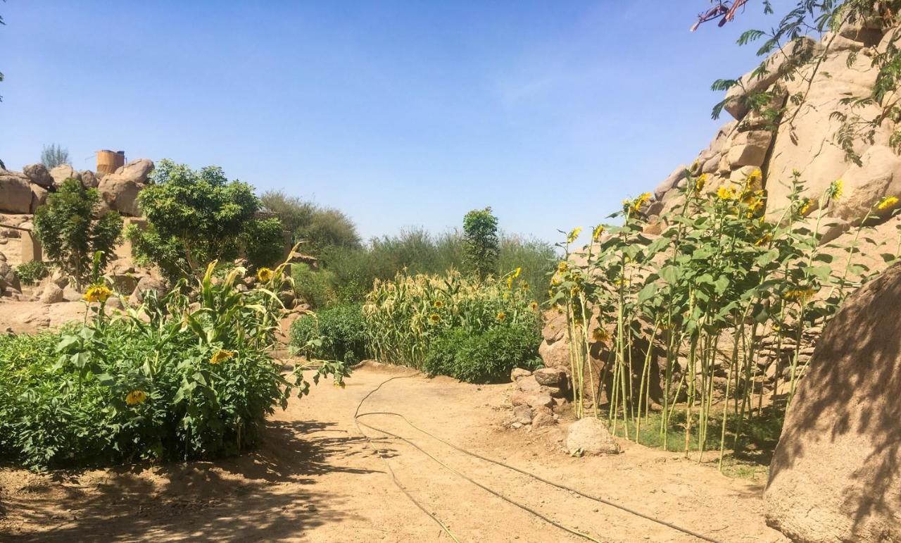 Orman Evi Eco Nubia
