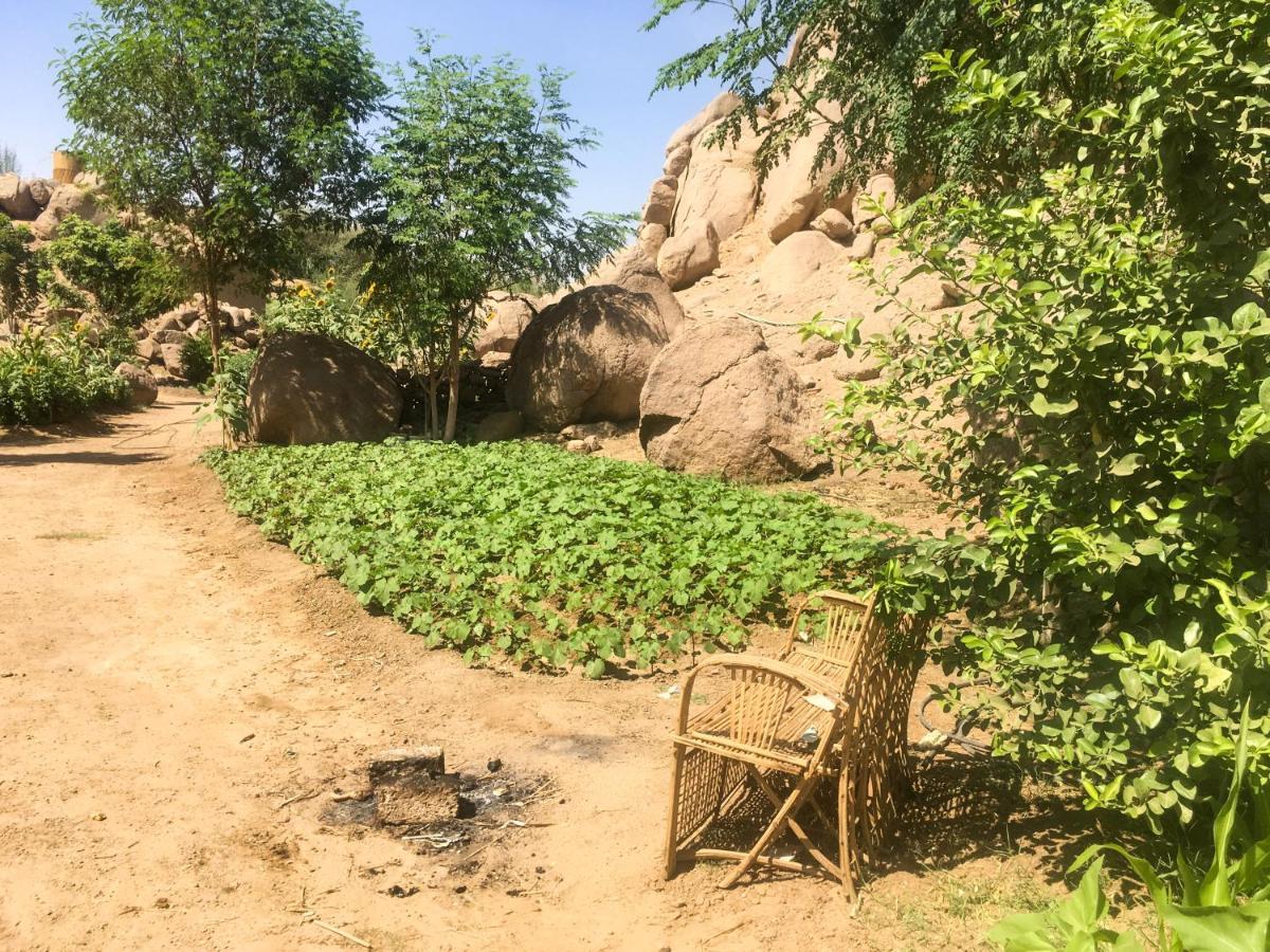 Orman Evi Eco Nubia