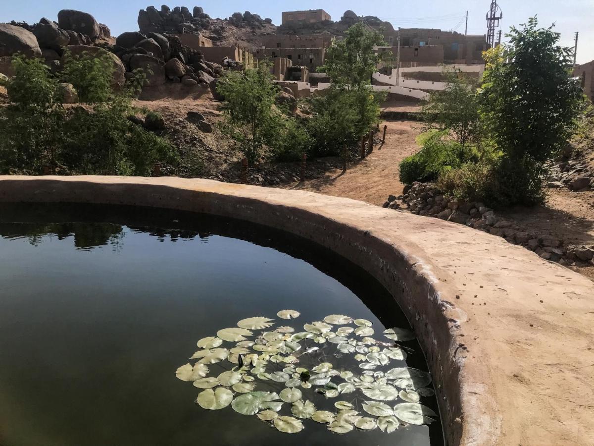 Eco Nubia Orman Evi *