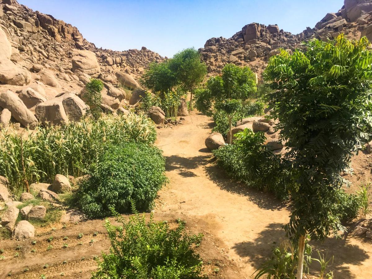 Eco Nubia *