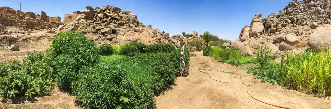 Orman Evi Eco Nubia Asvan
