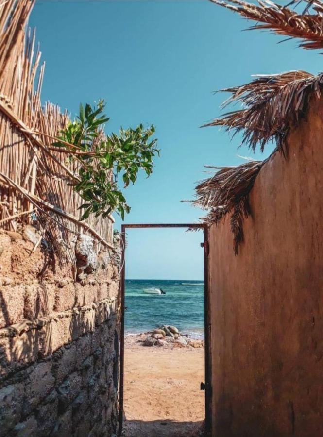 Tatil Evi Luna House Asala Dahab