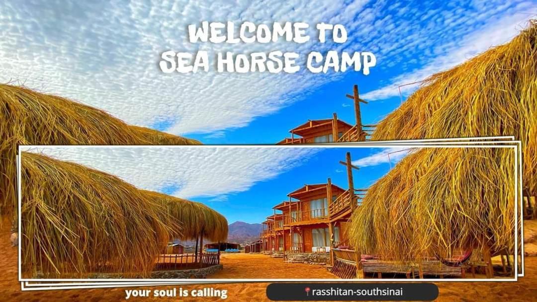 Sea Horse Campsite *