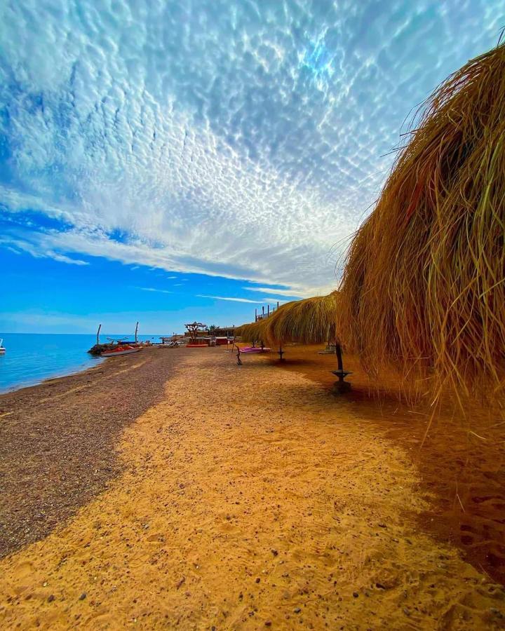 Sea Horse Campsite *
