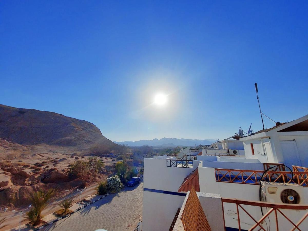 Lovely One Bedroom Within Cozy Compound Including Swimming Pool, Supermarket. Perfect Location At Neama Bay With Access To Public Transportation Apartment