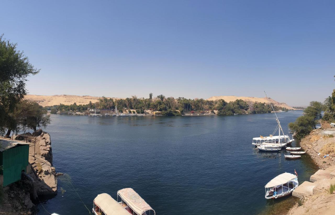 Abazido Nubian
