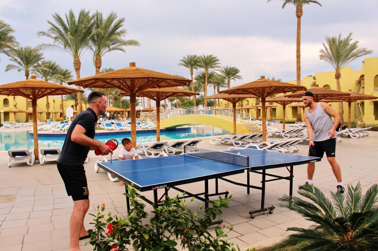 Palm Families And Couples Only 4*