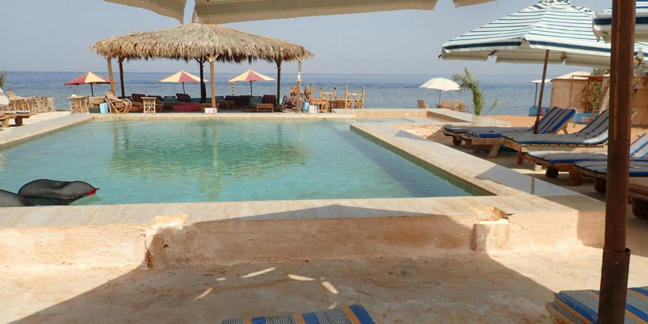 Bedouin Star Campsite