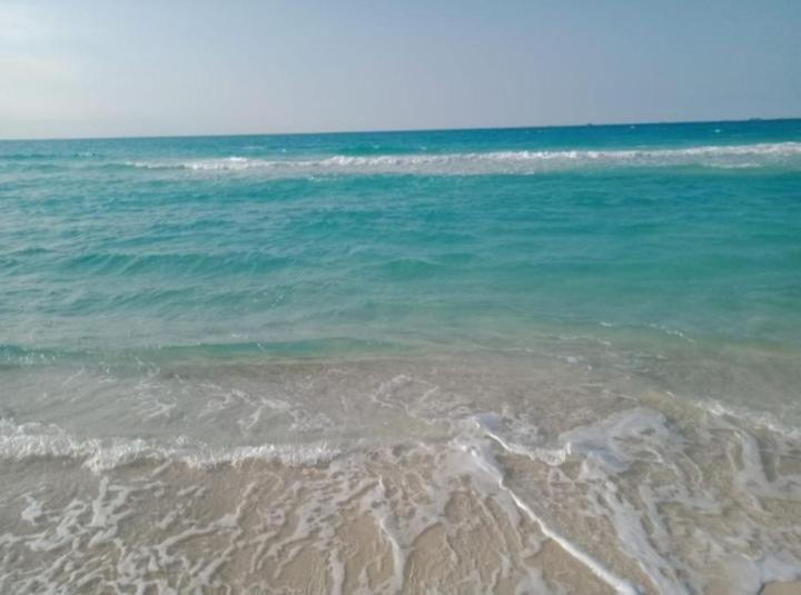 Free Wi-fi فى الاسكندرية New Sea View