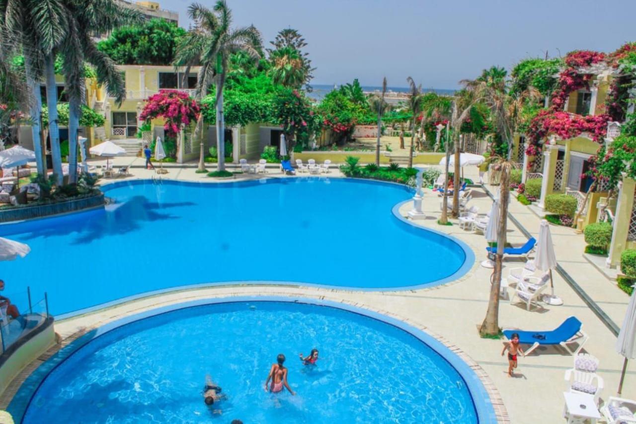 Paradise Alexandria