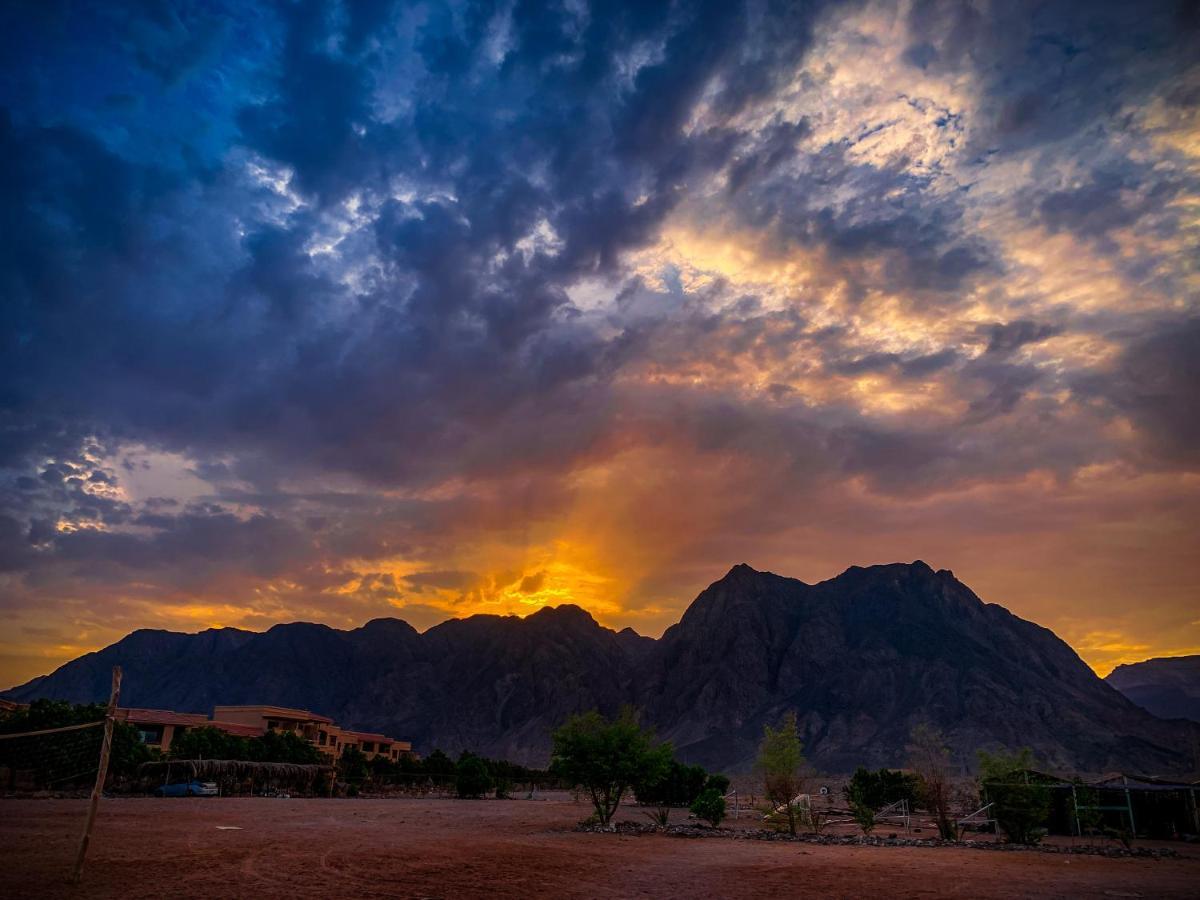Sakratah Camp - Eco Friendly * Taba