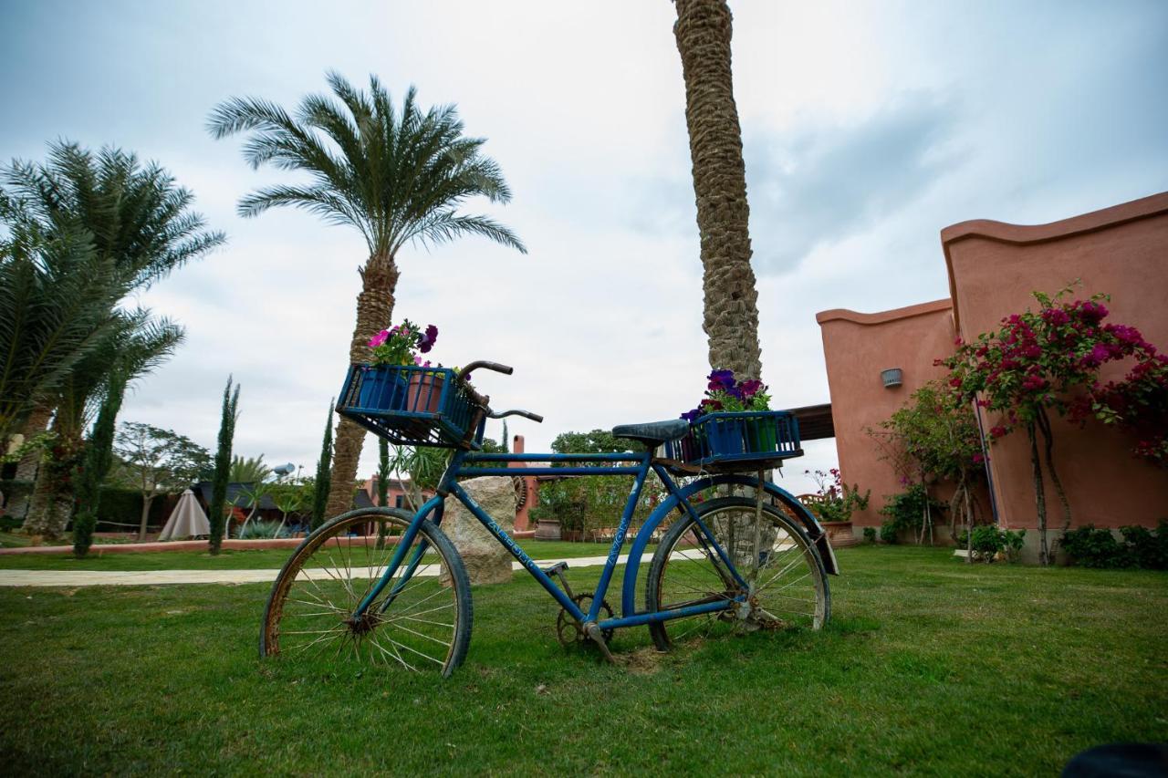 Lazib & Resort Tunis