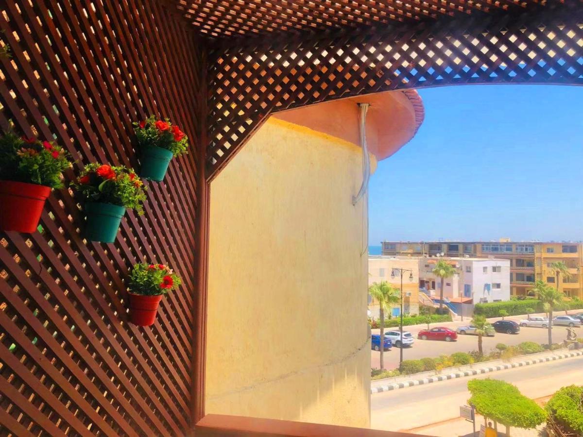 Maamoura Apartment *
