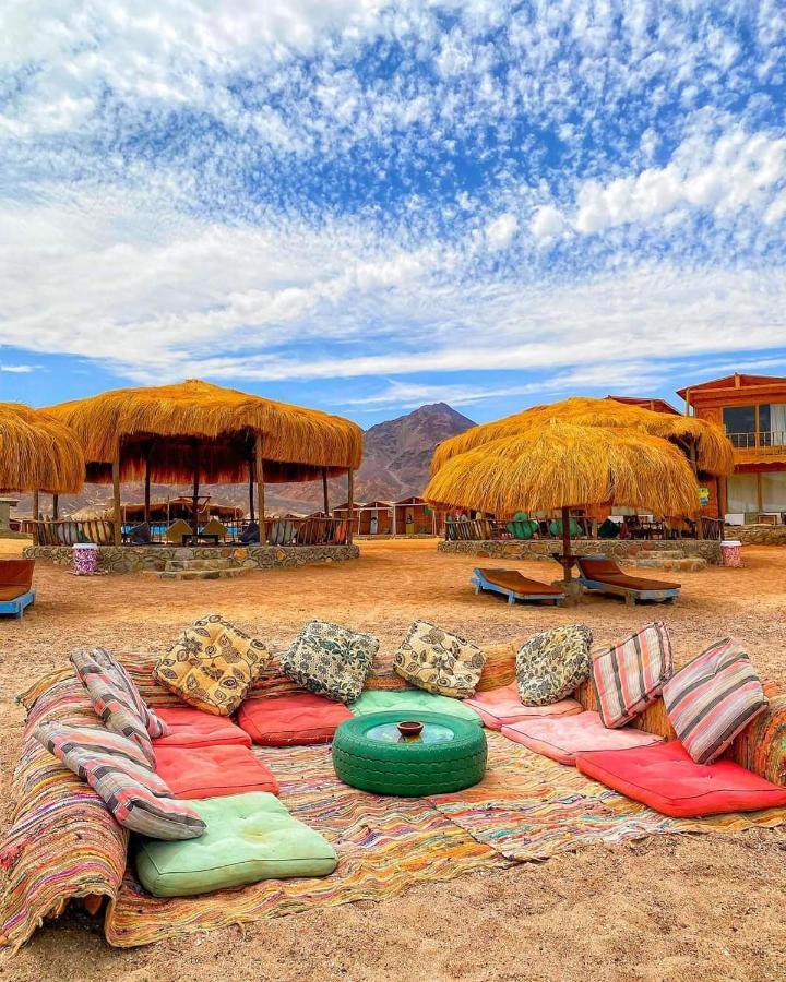 Campsite Sea Horse Nuweiba
