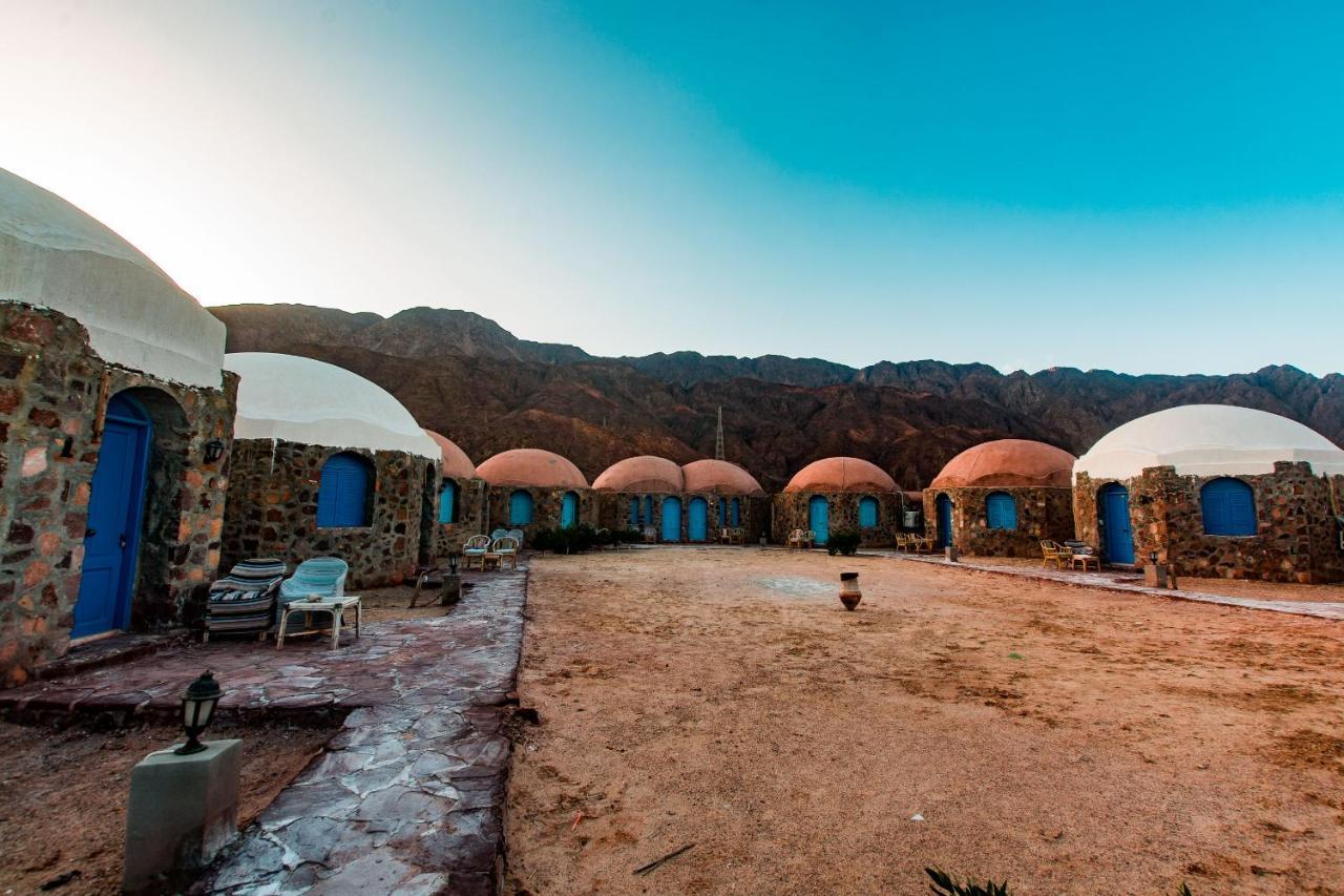 Safari Campsite *