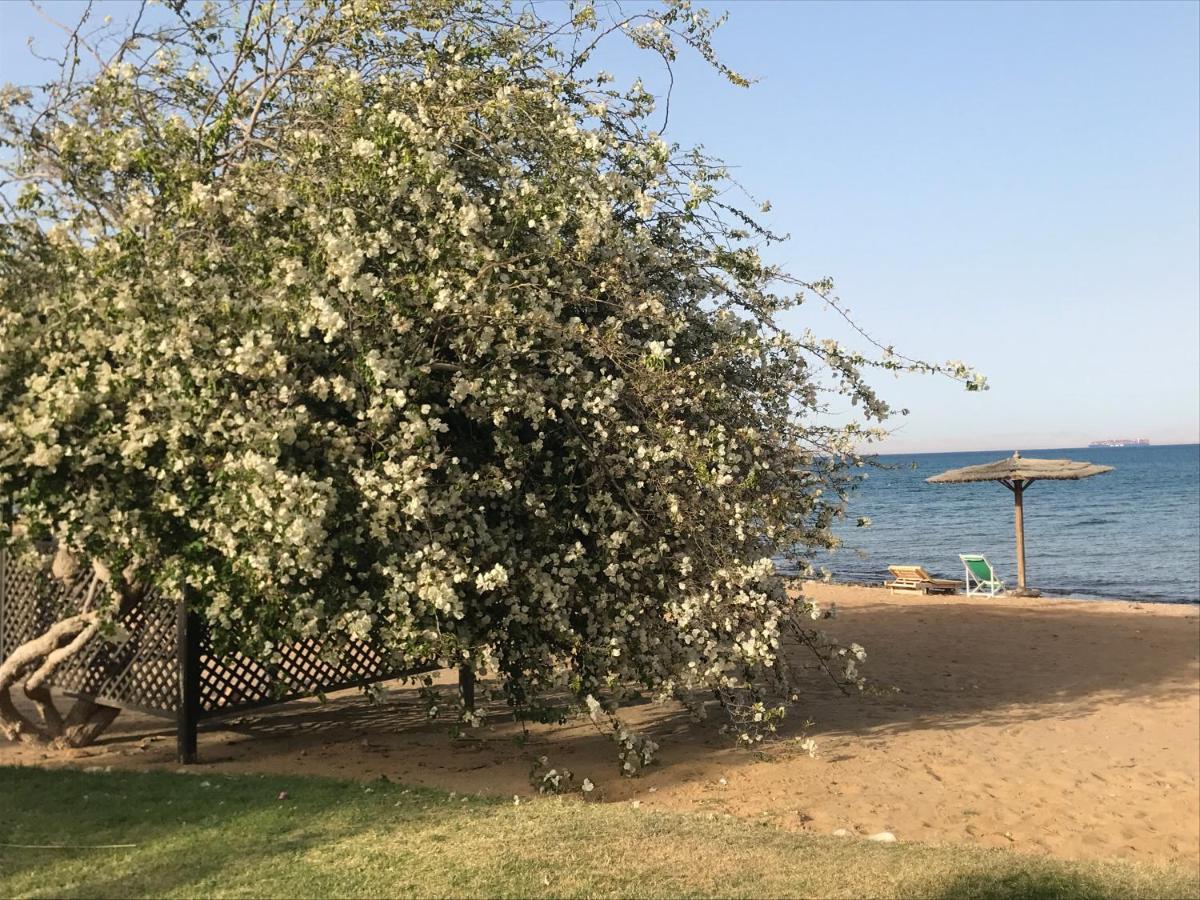 Daire With Roof At Laguna Bay- Ain Sokhna - شالية غرفتين مكيف بالكامل بالرووف قرية لاجونا باي - العين السخنة