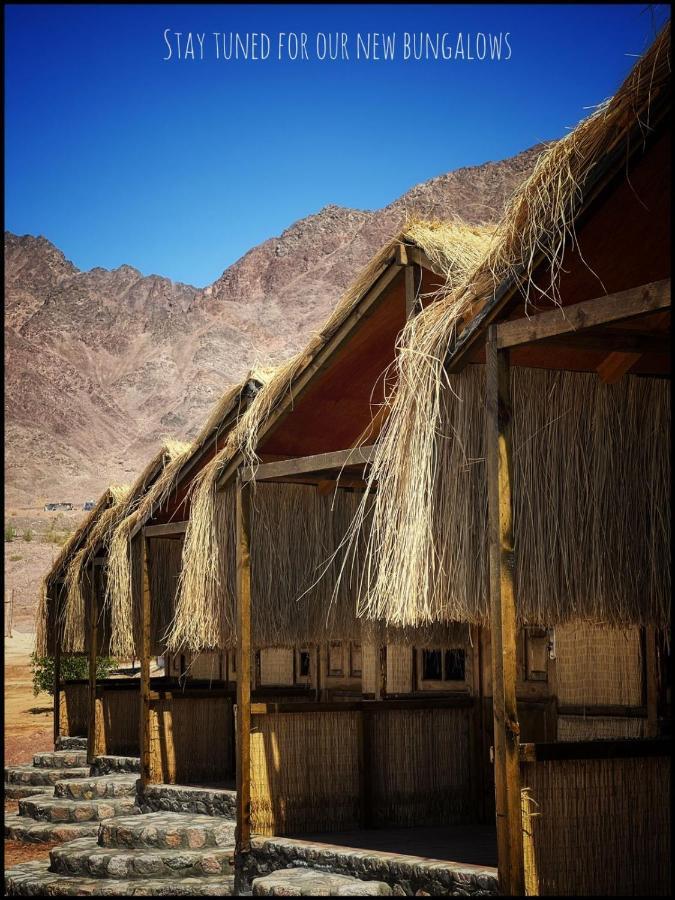 Bab Eldonia Camp * Nuweiba