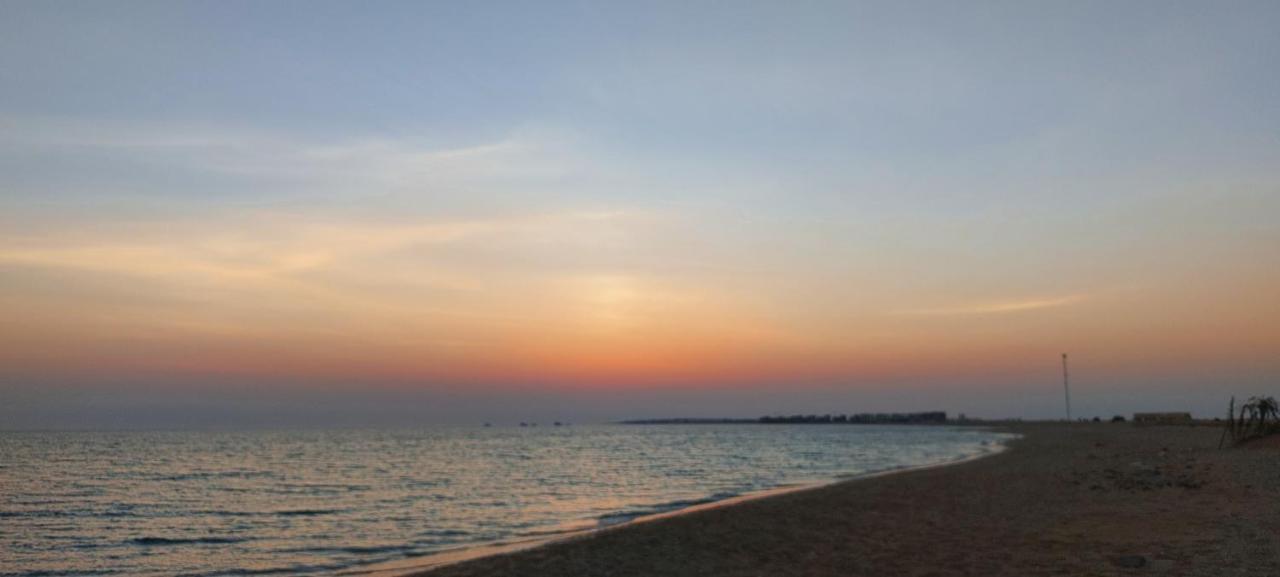 The White * Ras Sedr
