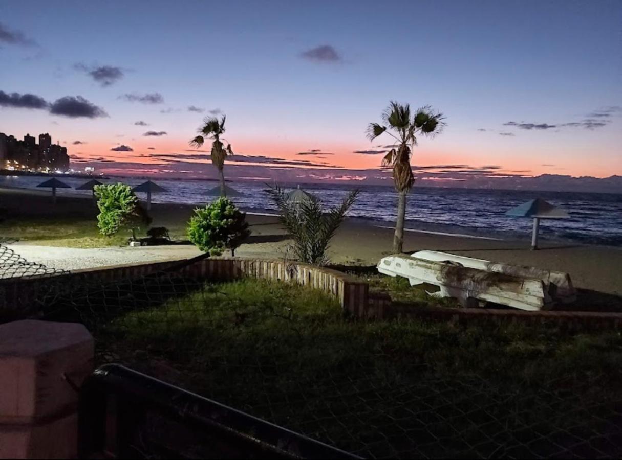 مكيفة ميامي ع البحر مباشرةً Alexandria