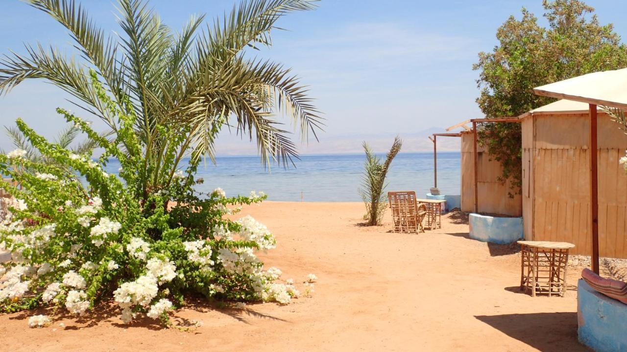 Campsite Bedouin Star 4*
