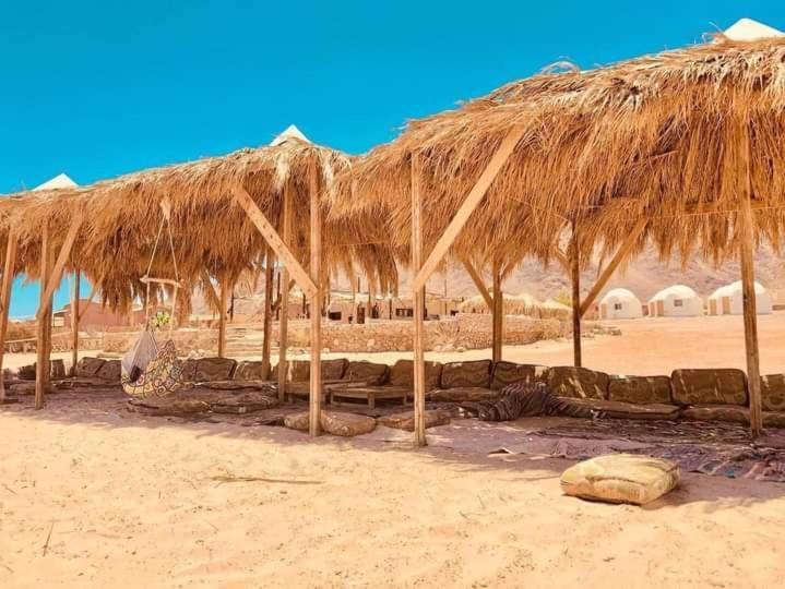 Abdo Caribbean Camp *