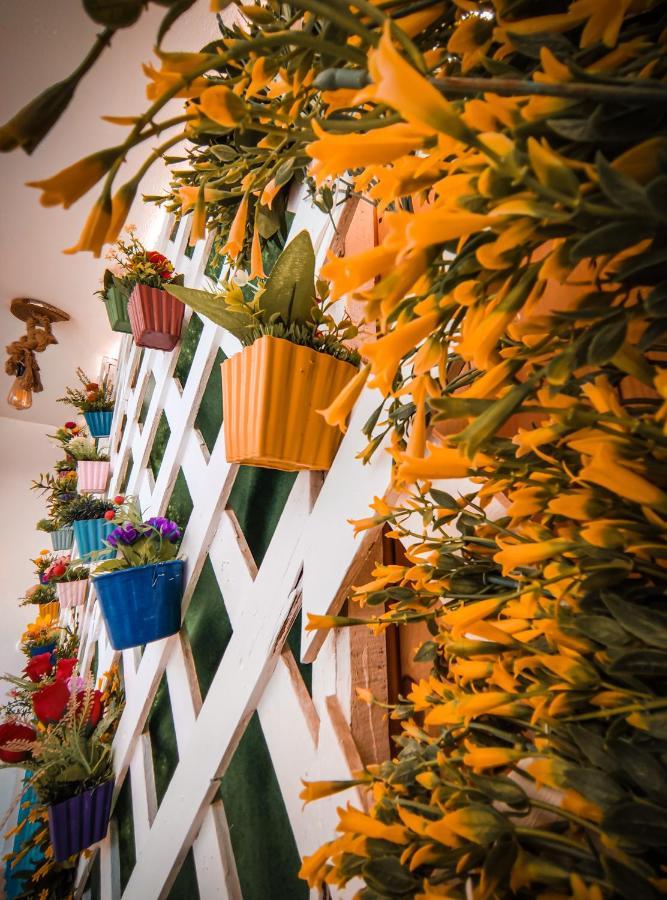Bamboo House * Dahab