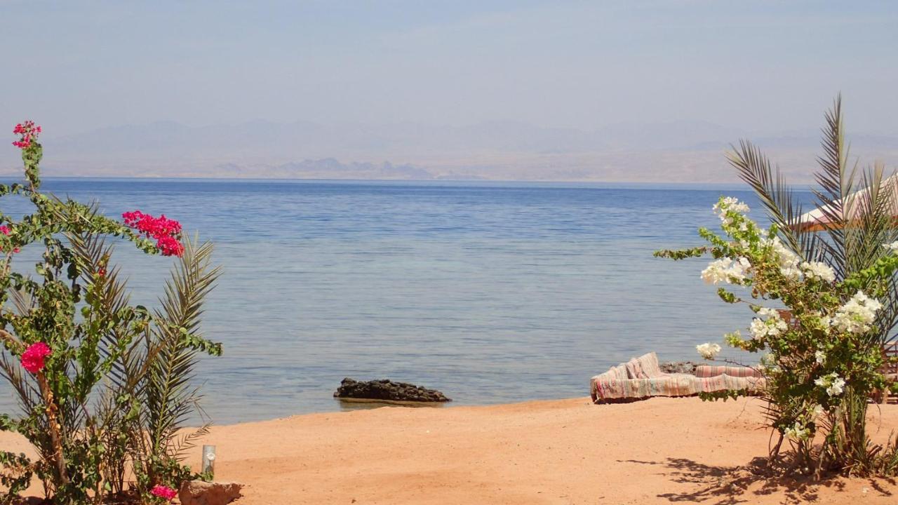 Bedouin Star 4*