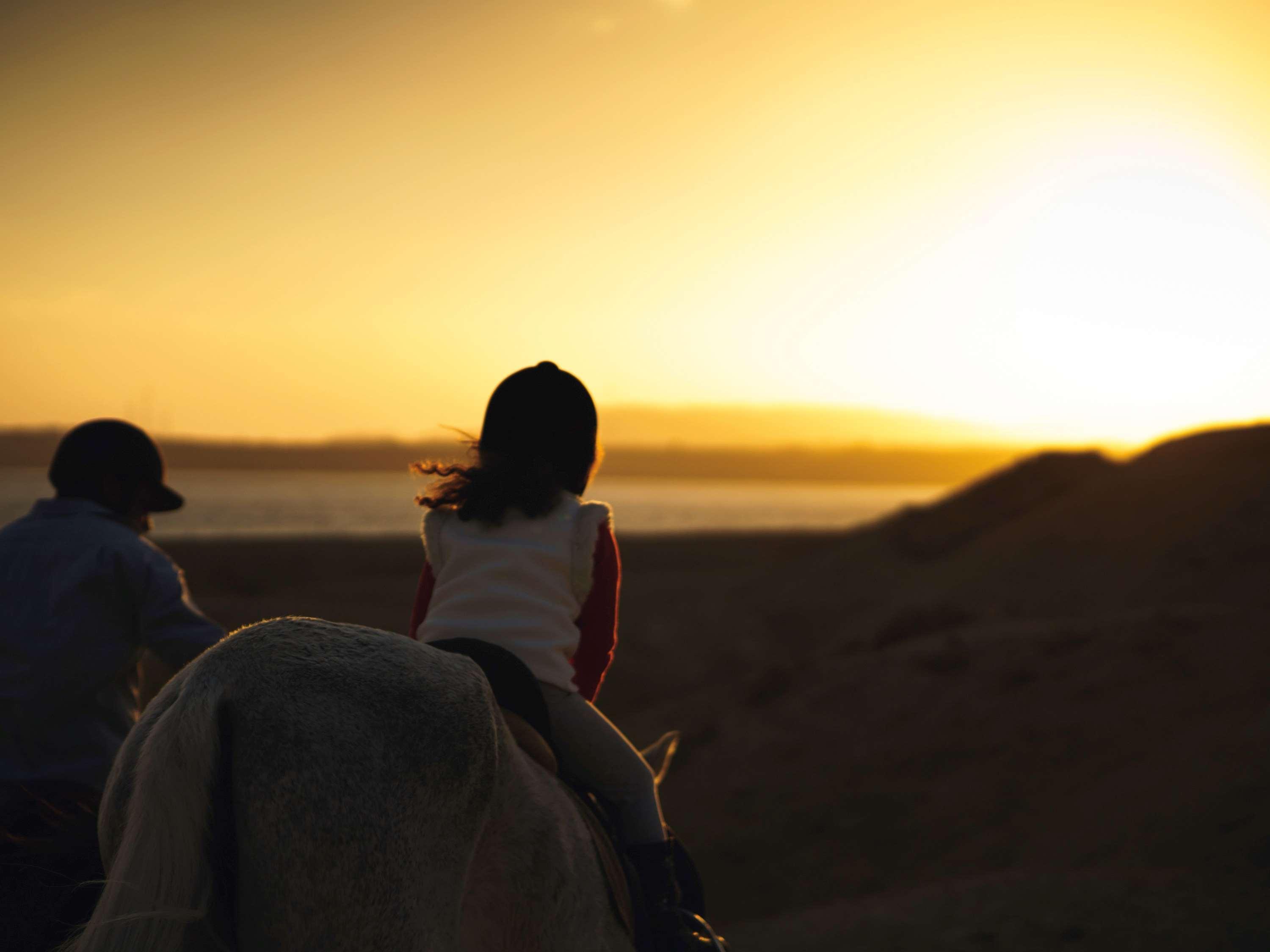 Movenpick Sheikh Resort Sharm el-Sheikh