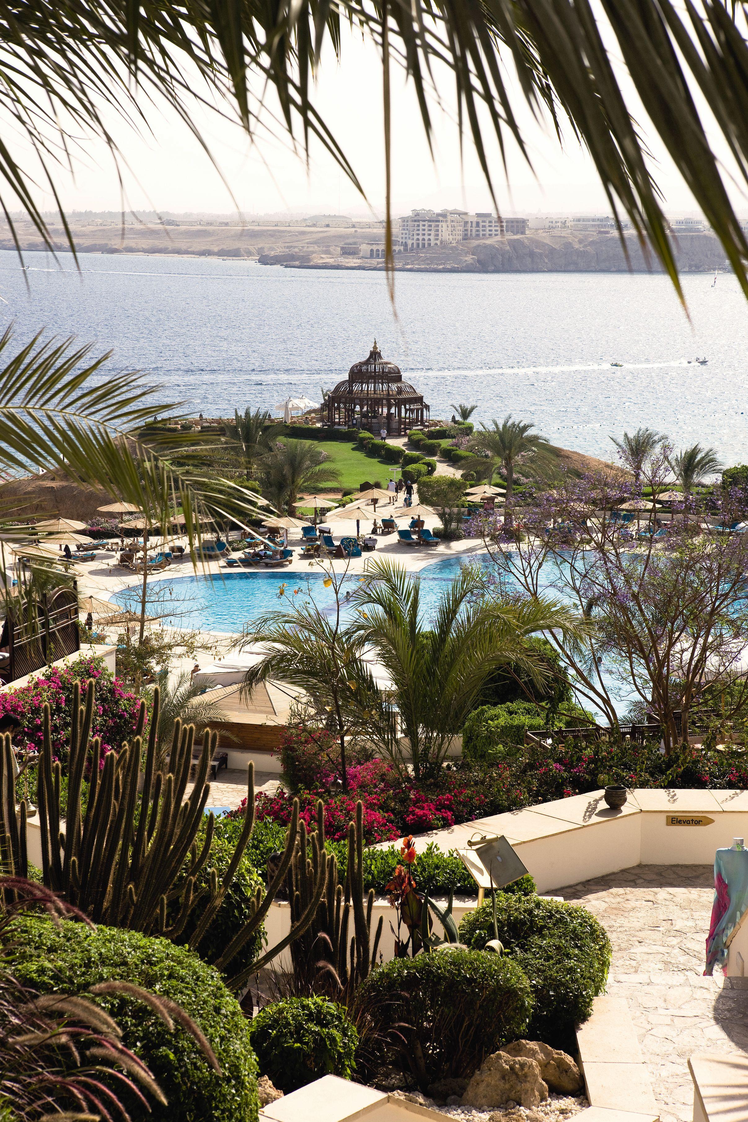 Movenpick Sheikh 5*