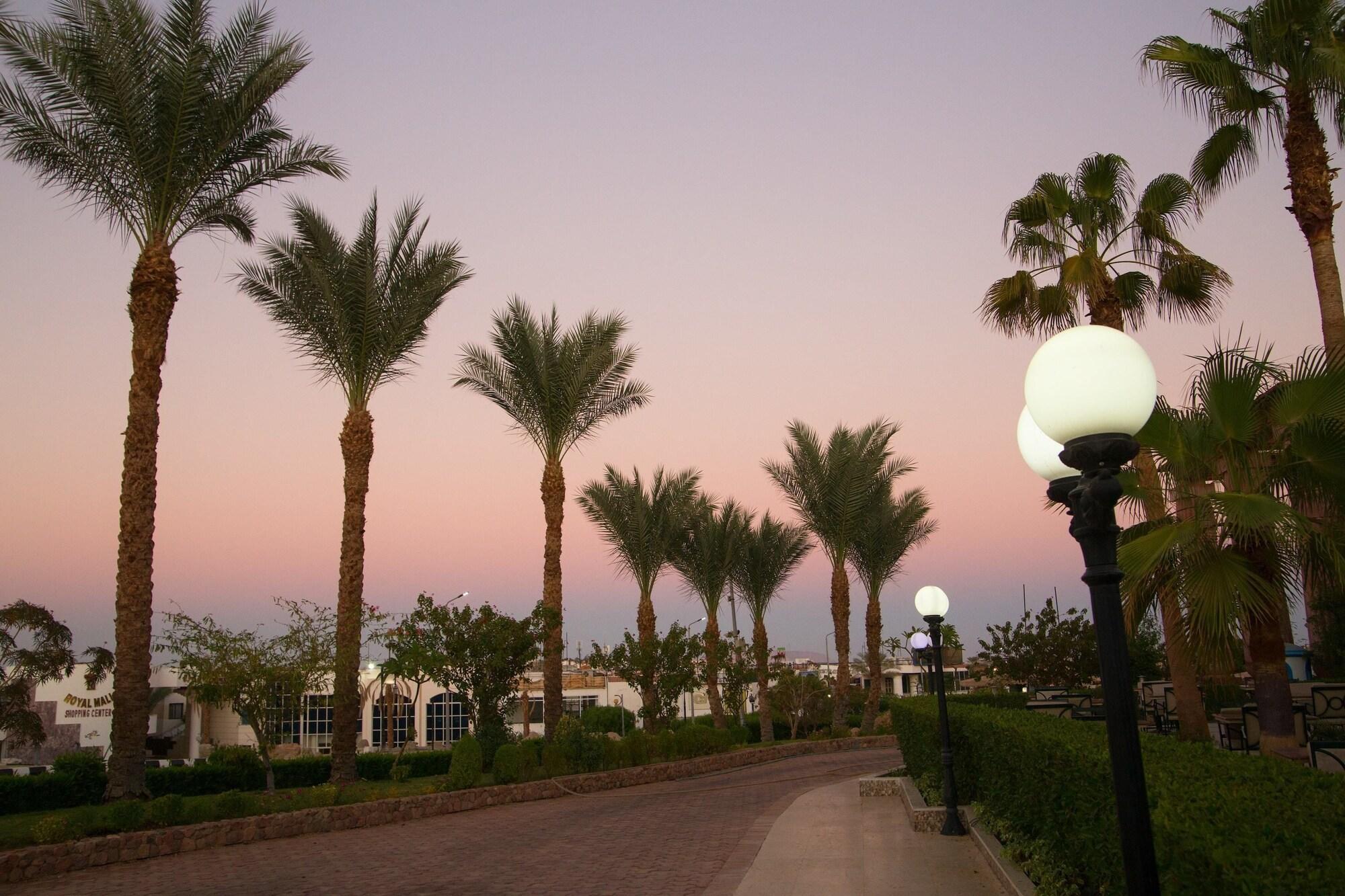 Naama Blue