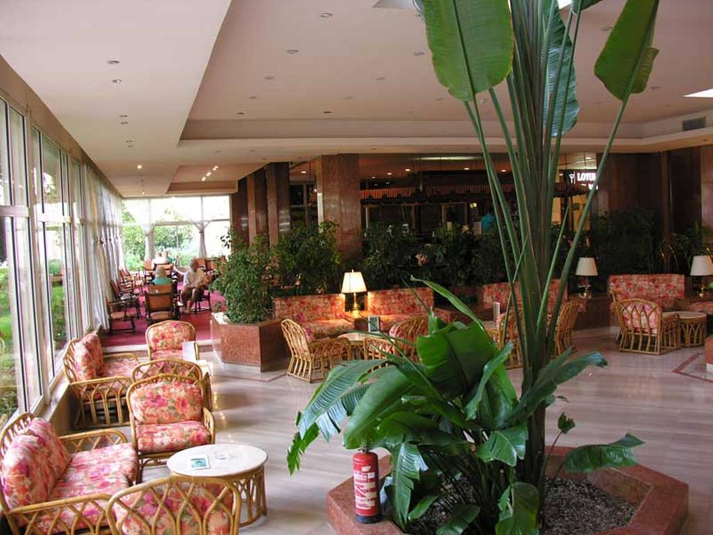 Pyramisa Hotel