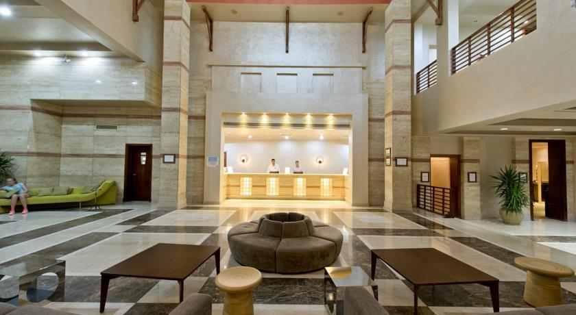 Amphoras Blu 4*
