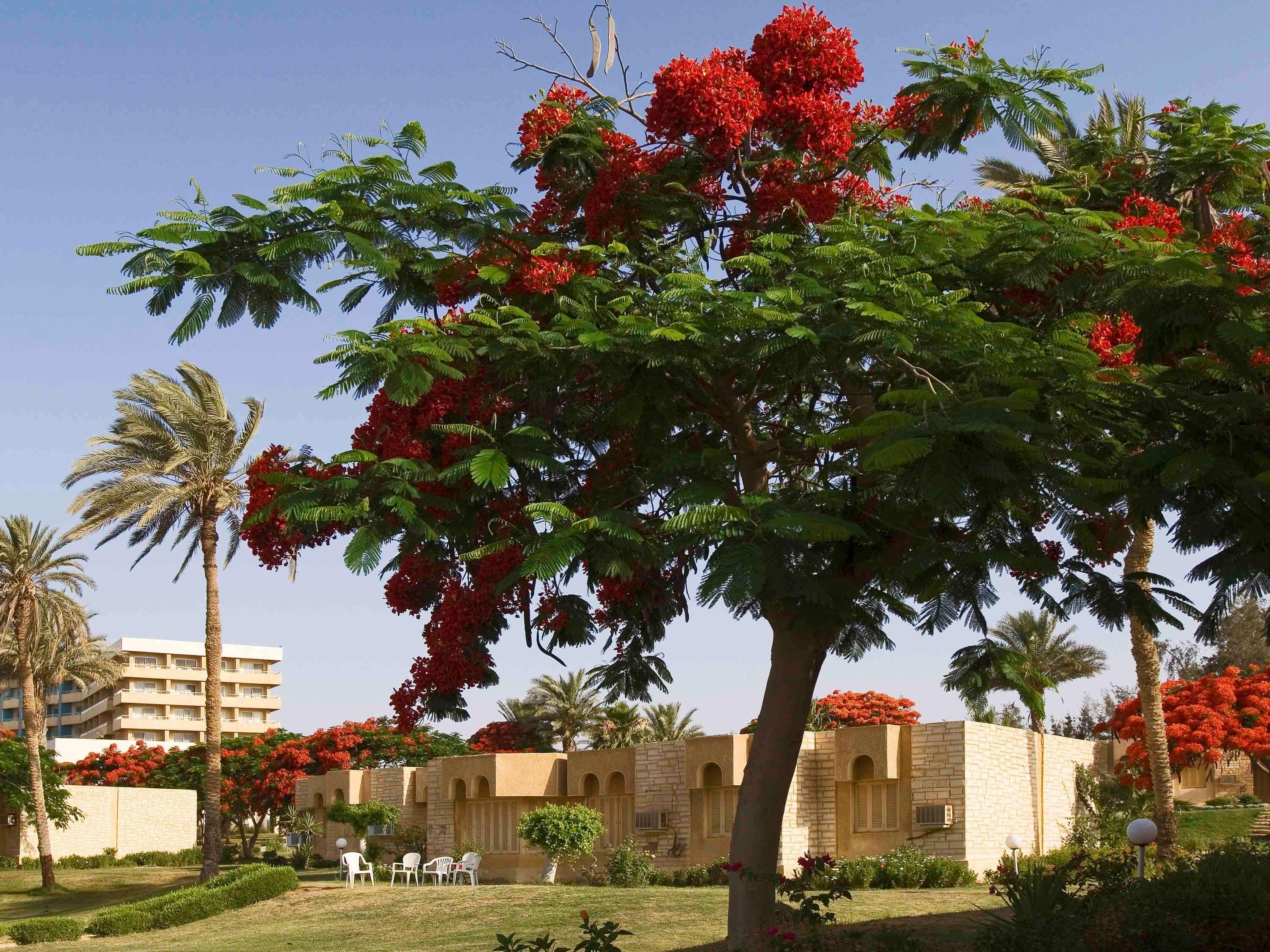 Mercure Forsan Island Ismailia