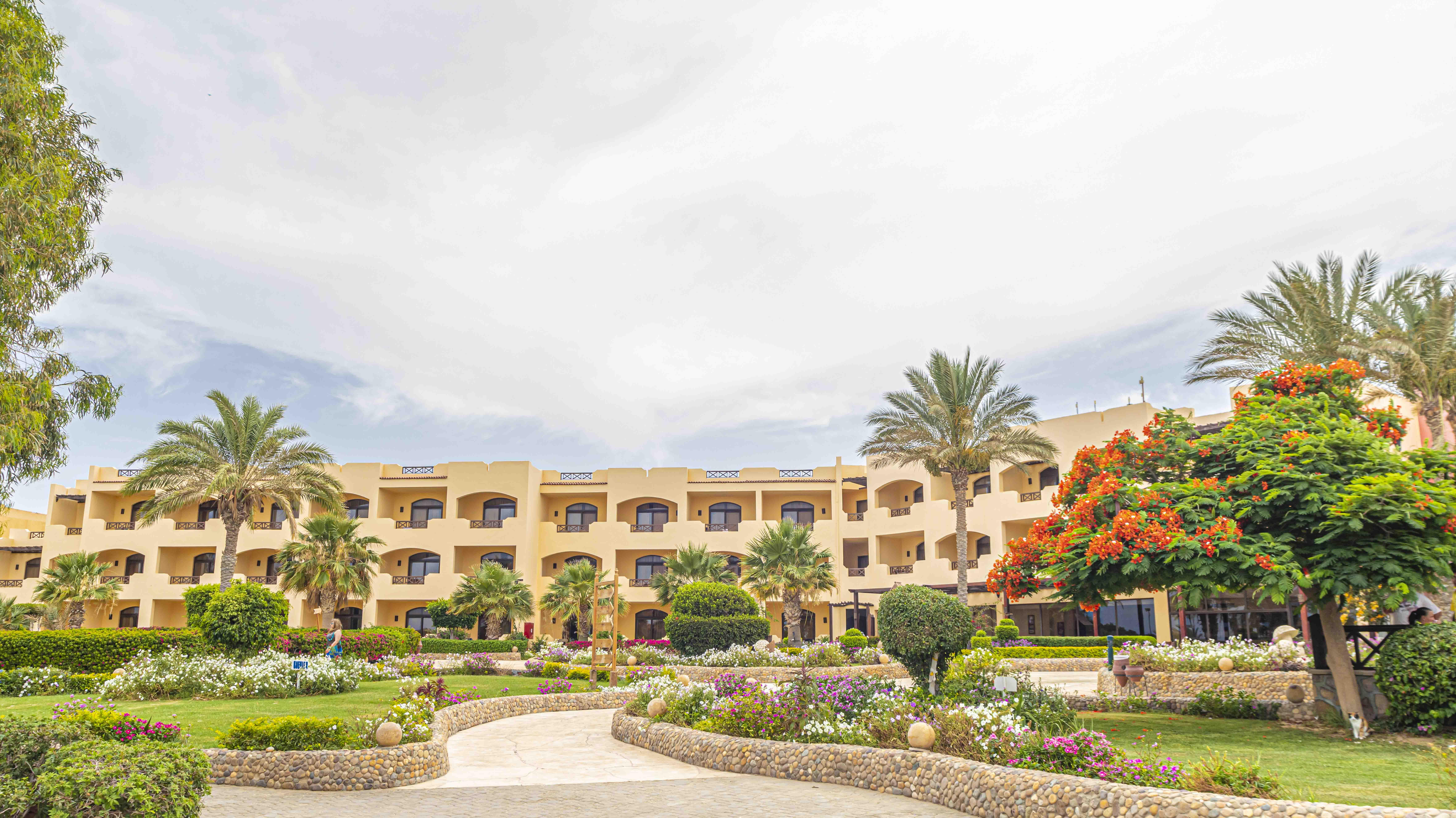 Blend Elphistone 4* Marsa Alam