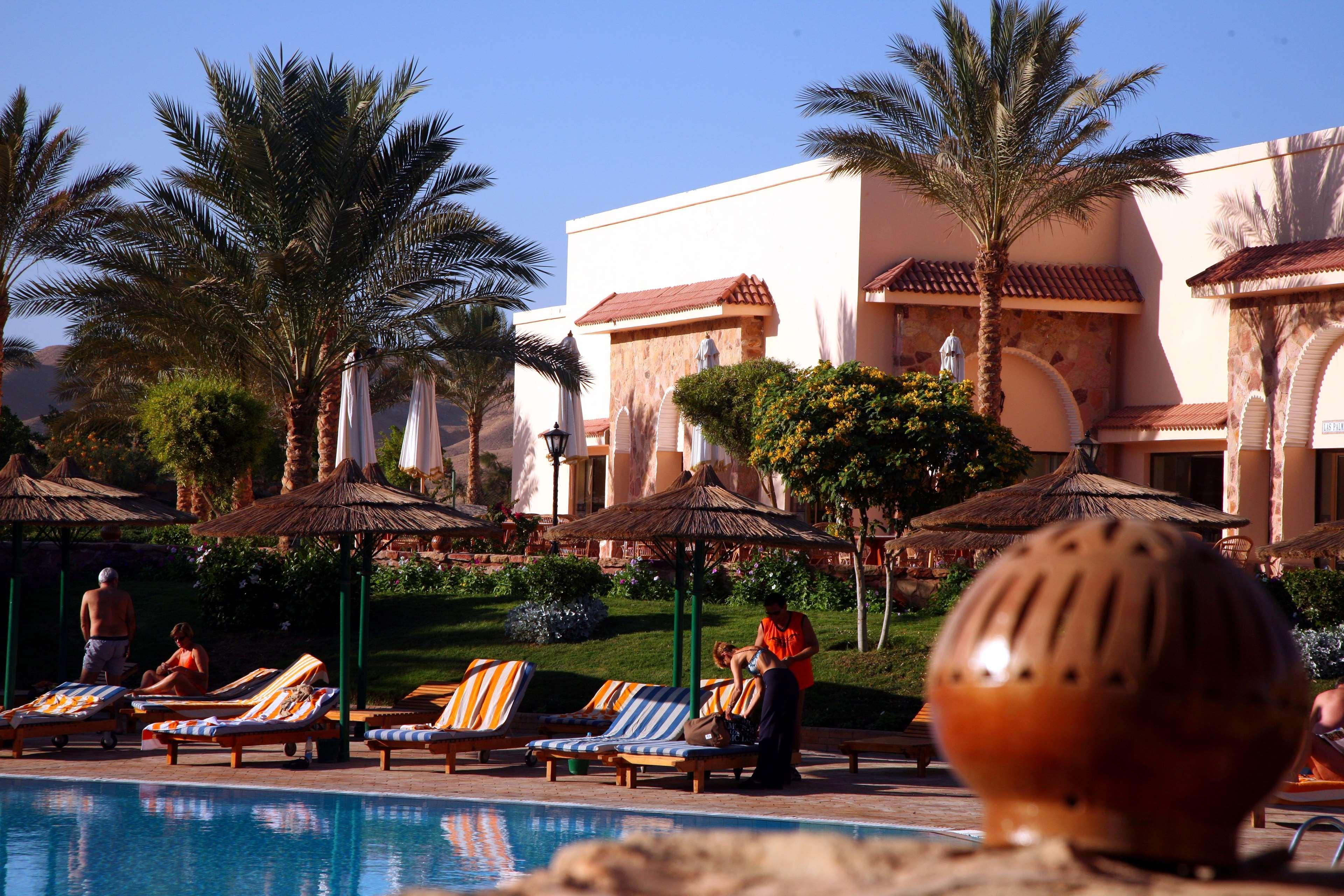 Resort Flamenco & Quseir 4*