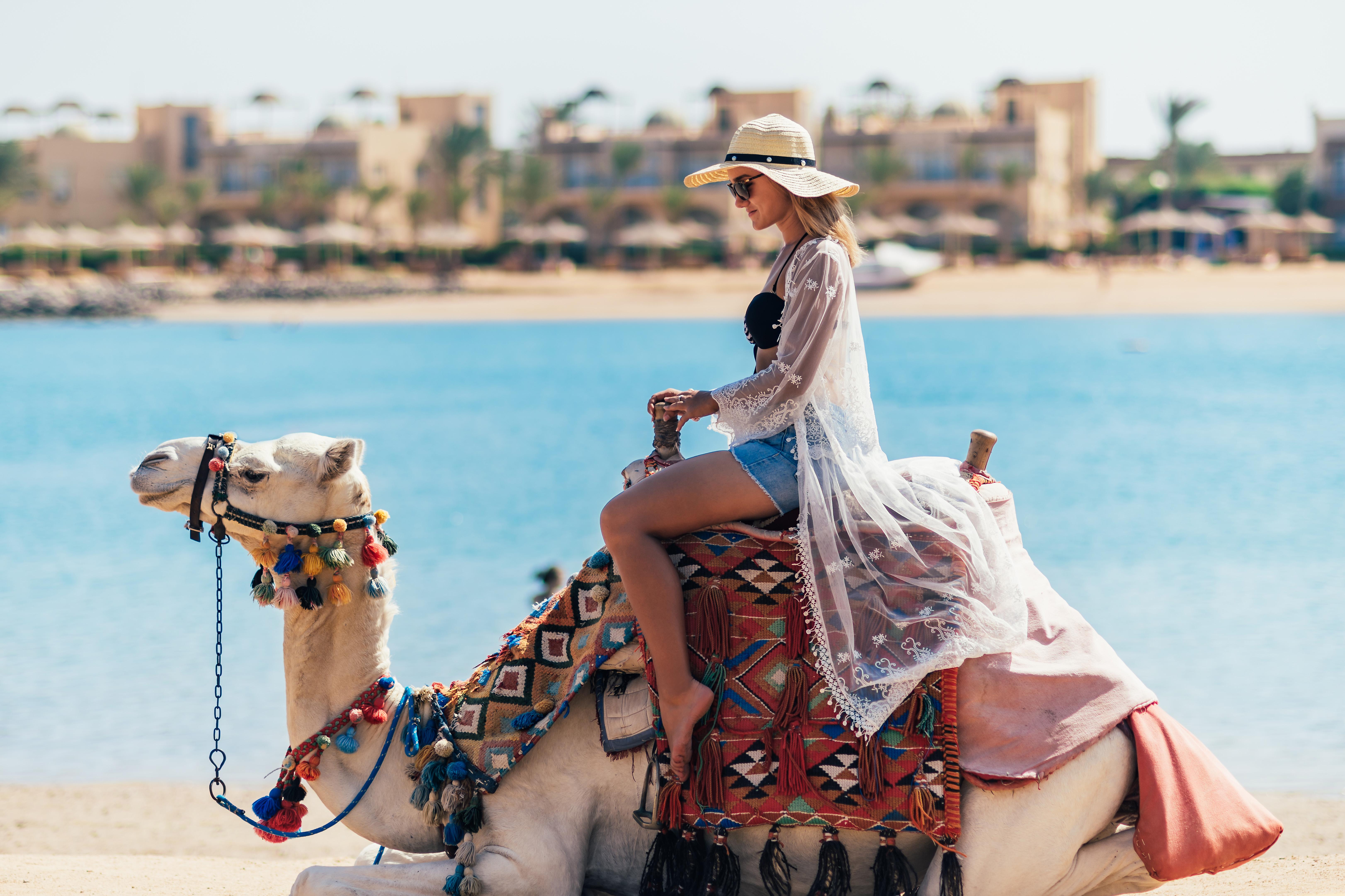 Desert Rose 5* Hurghada