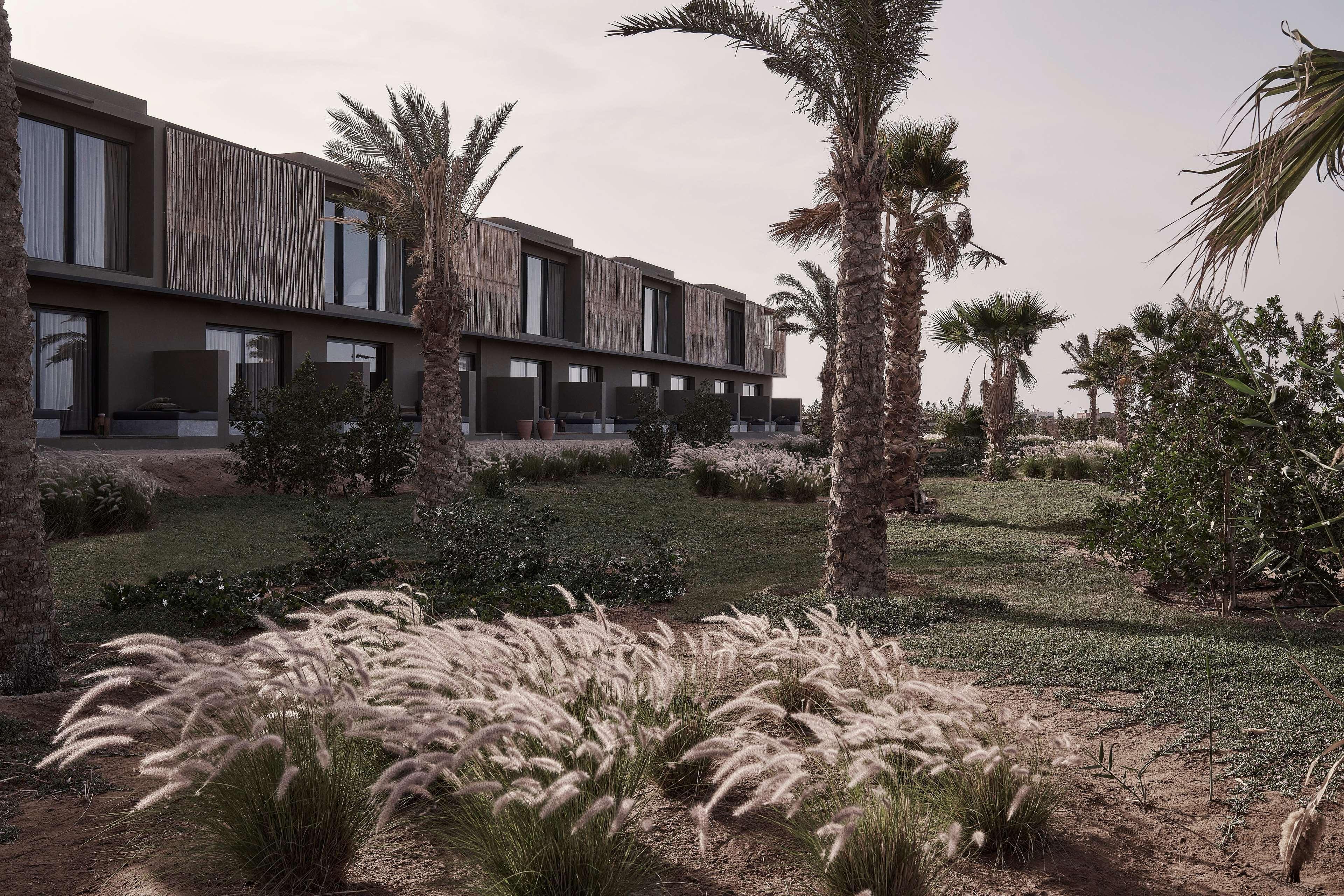 Casa Cook - Adults Only 5* El Gouna