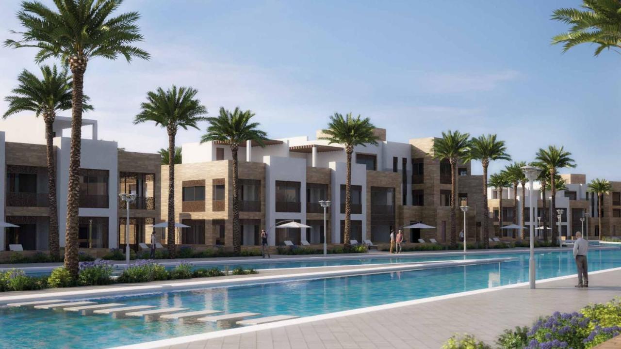 Mangroovy El Gouna - Grovin