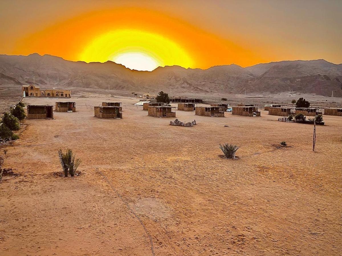 Lala Land Camp * Nuweiba