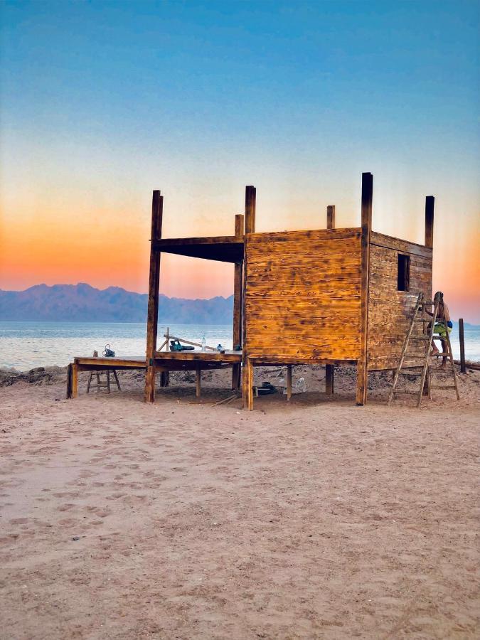Lala Land Camp Nuweiba