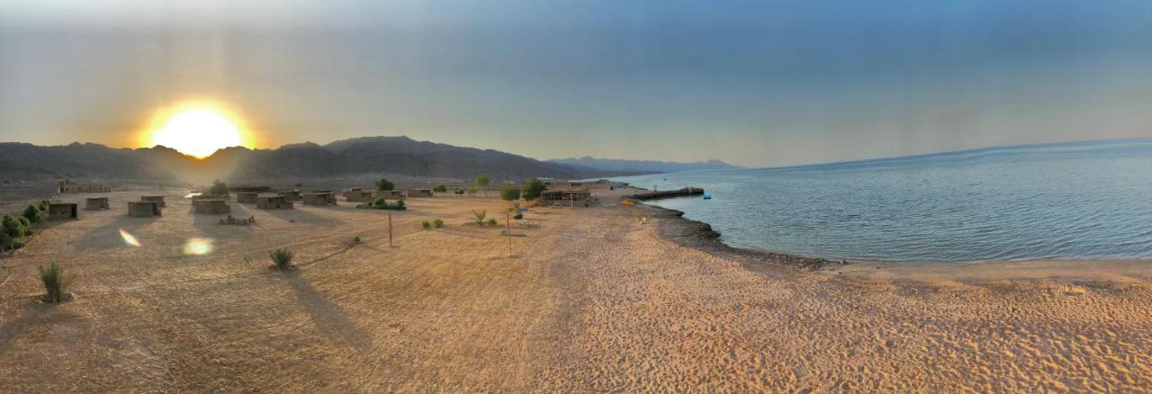 Lala Land Camp Campsite *