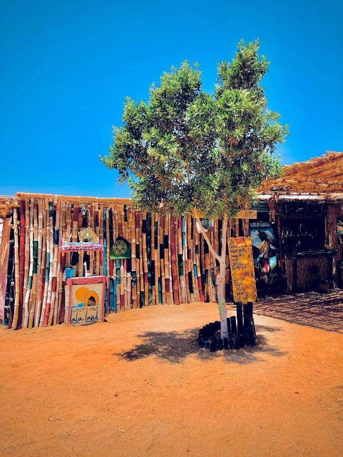 Lala Land Camp Nuweiba