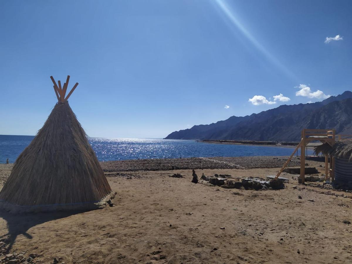 Campsite Cosmos And Spiritual Community *