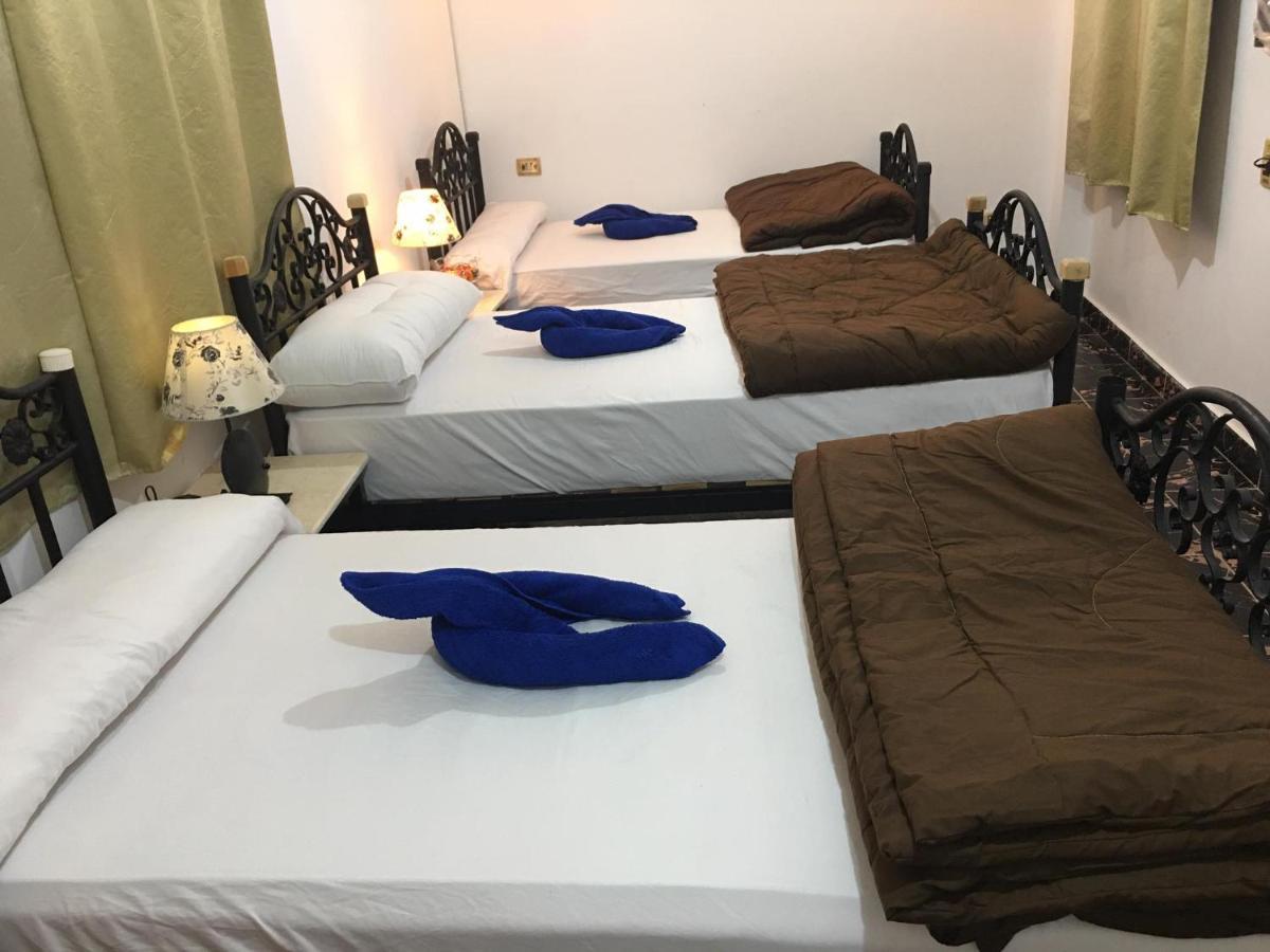Dahab Home Bed&Breakfast Oda ve Kahvaltı Dahab