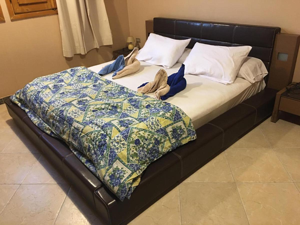 Dahab Home Bed&Breakfast Oda ve Kahvaltı *