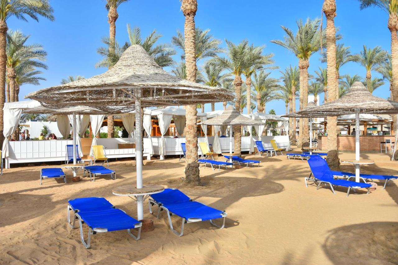 Hotel Seti Palm Families And Couples Only Sharm el-Sheikh