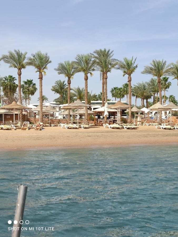 Hotel Seti Palm Families And Couples Only 4*