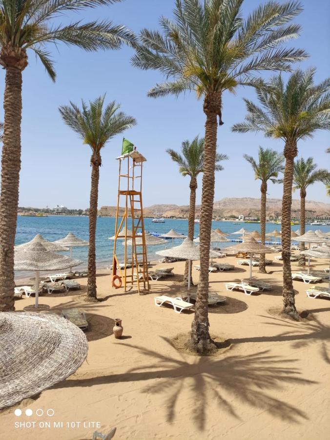 Hotel Seti Palm Families And Couples Only 4*