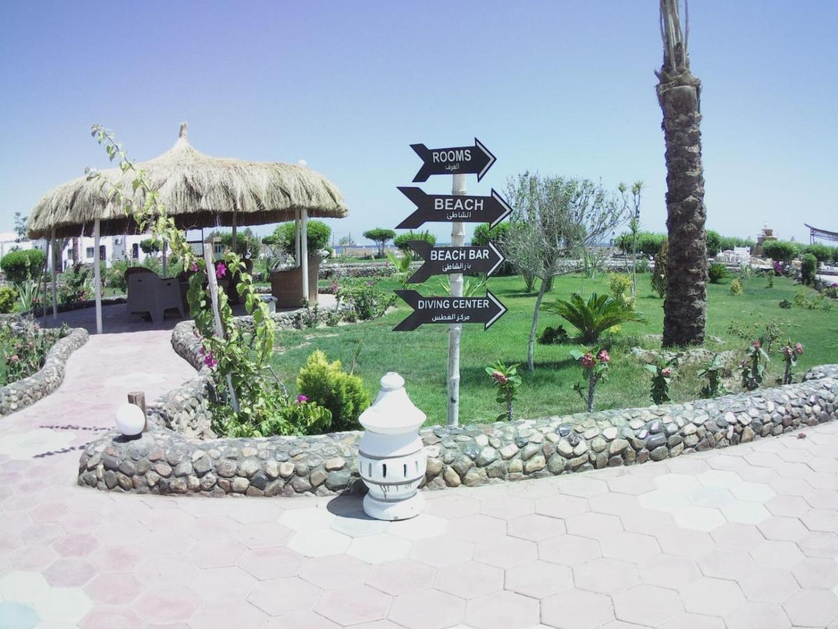 Hotel Dolphin Continental 3*