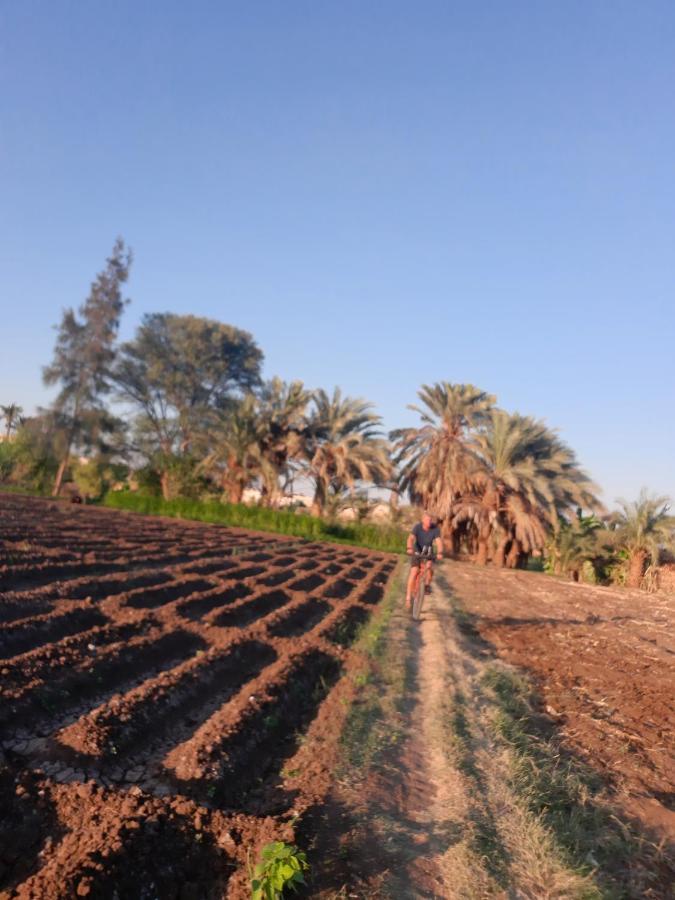 Village In The Countryside Kır Evi *